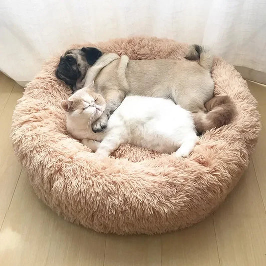 Cama Antiestrés Premium para Mascotas — Descanso y Confort